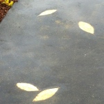 golden leaves fallen from dead tree